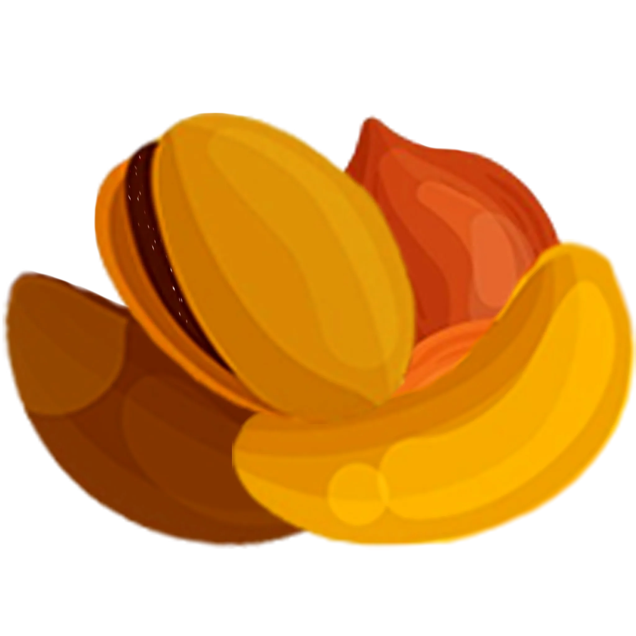 آجیل