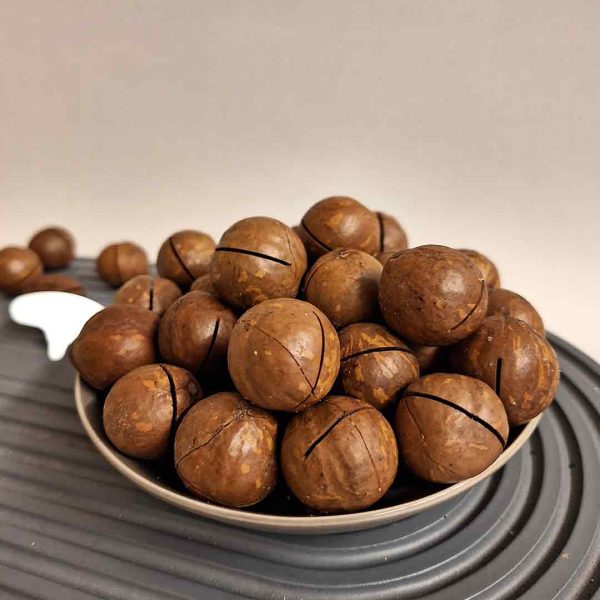 فندق ماکادمیا