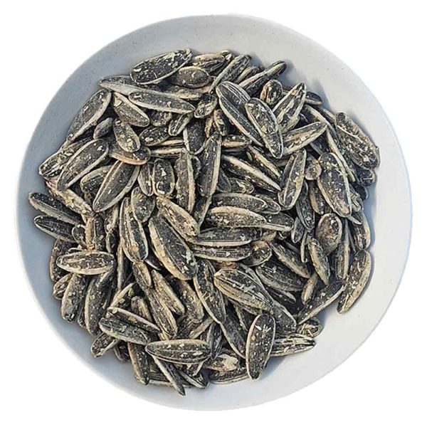 تخمه گلپری