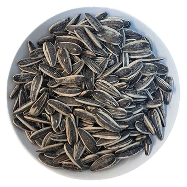 تخمه نمکی