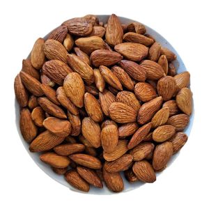 بادام درختی آمریکایی شور