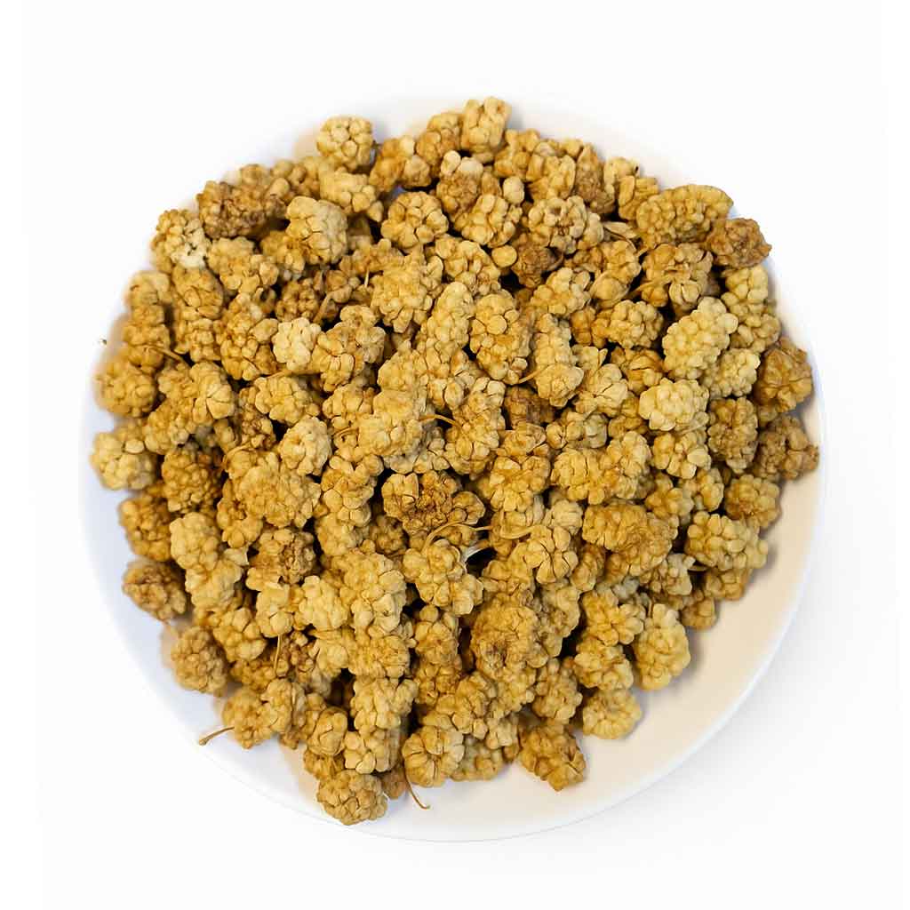 توت خشک | Dried Mulberries 1 خرید توت خشک