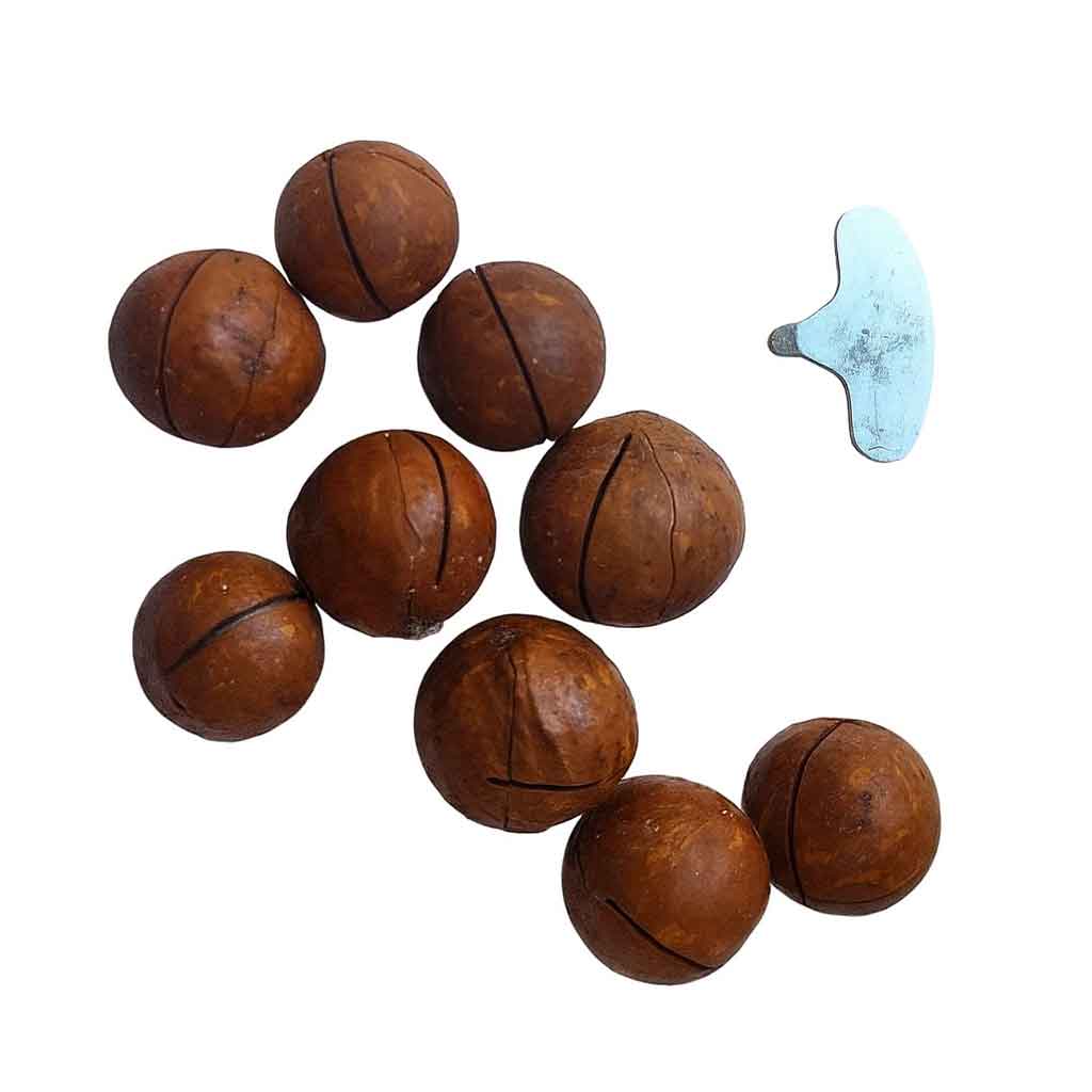 فندق ماکادمیا 500 گرم | Vanilla Macademia 1 ماکادمیا 500 گرم