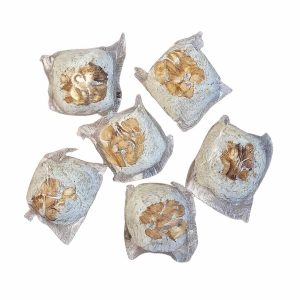 باسلوق گردویی