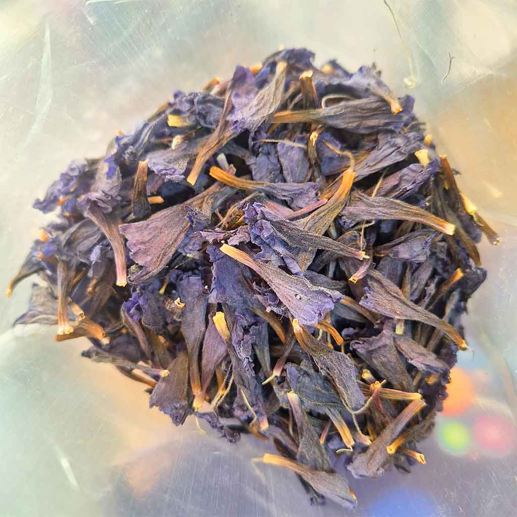 گل گاو زبان اشکورات گیلان 3